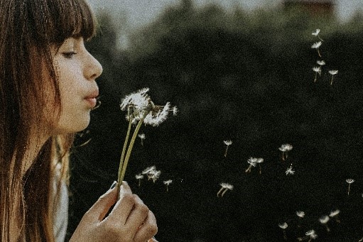 A girl making a wish by blowing a dandelion